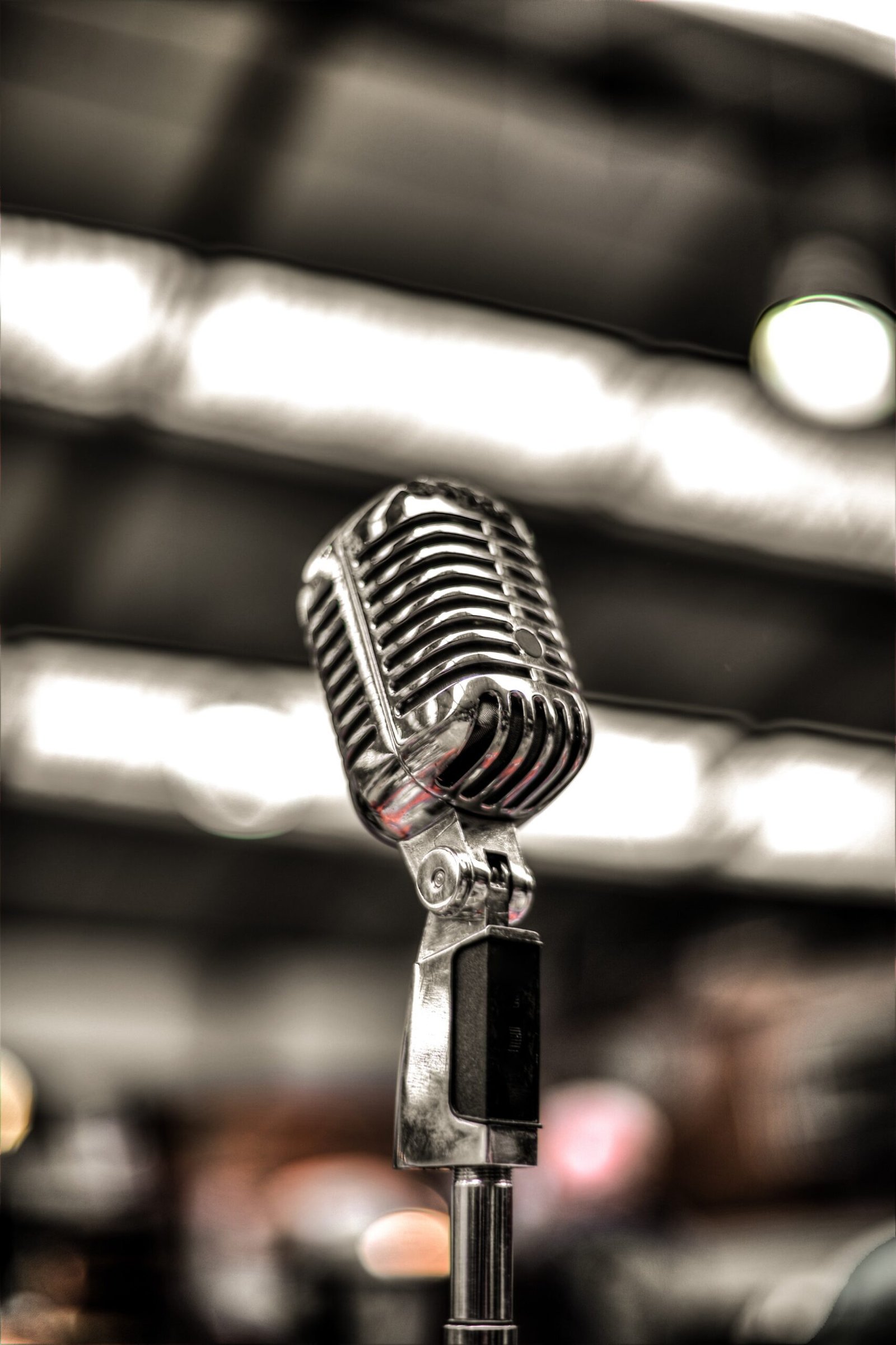 pexels-skitterphoto-675960 Children Vocal Lessons